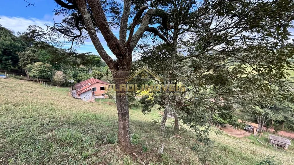 Chácara, 2 quartos, 8000 m² - Foto 7