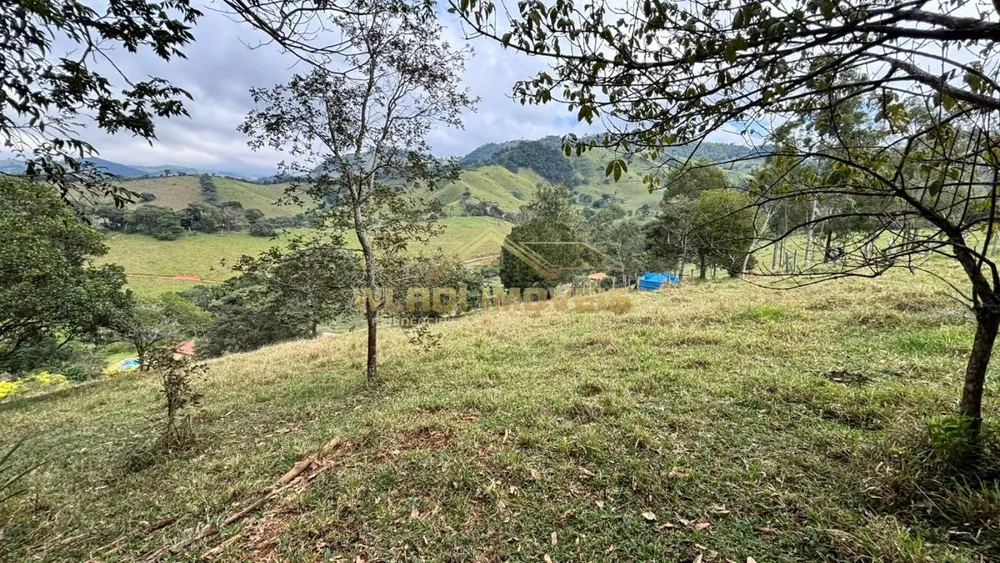 Chácara, 2 quartos, 8000 m² - Foto 9