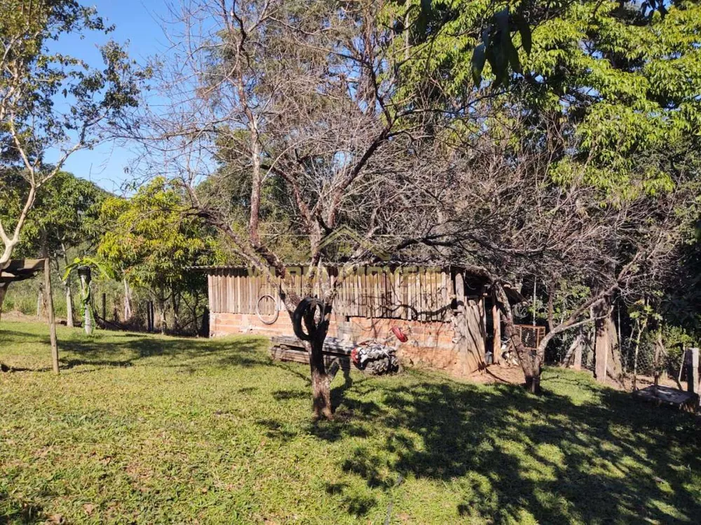 Sítio, 4 hectares - Foto 7