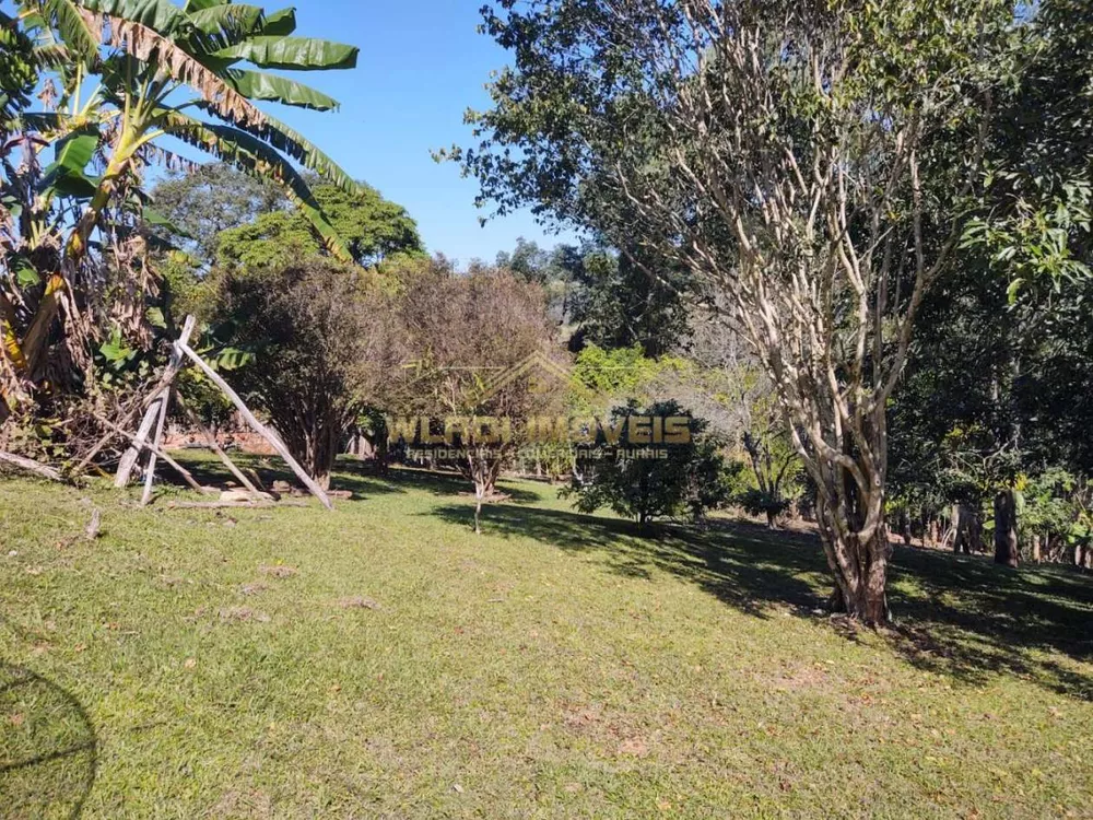Sítio, 4 hectares - Foto 16