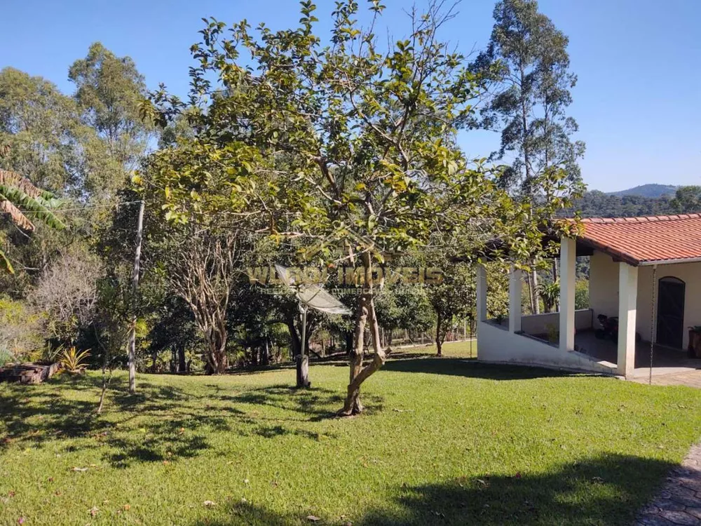 Sítio, 4 hectares - Foto 15
