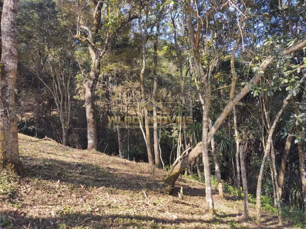 Sítio, 4 hectares - Foto 13