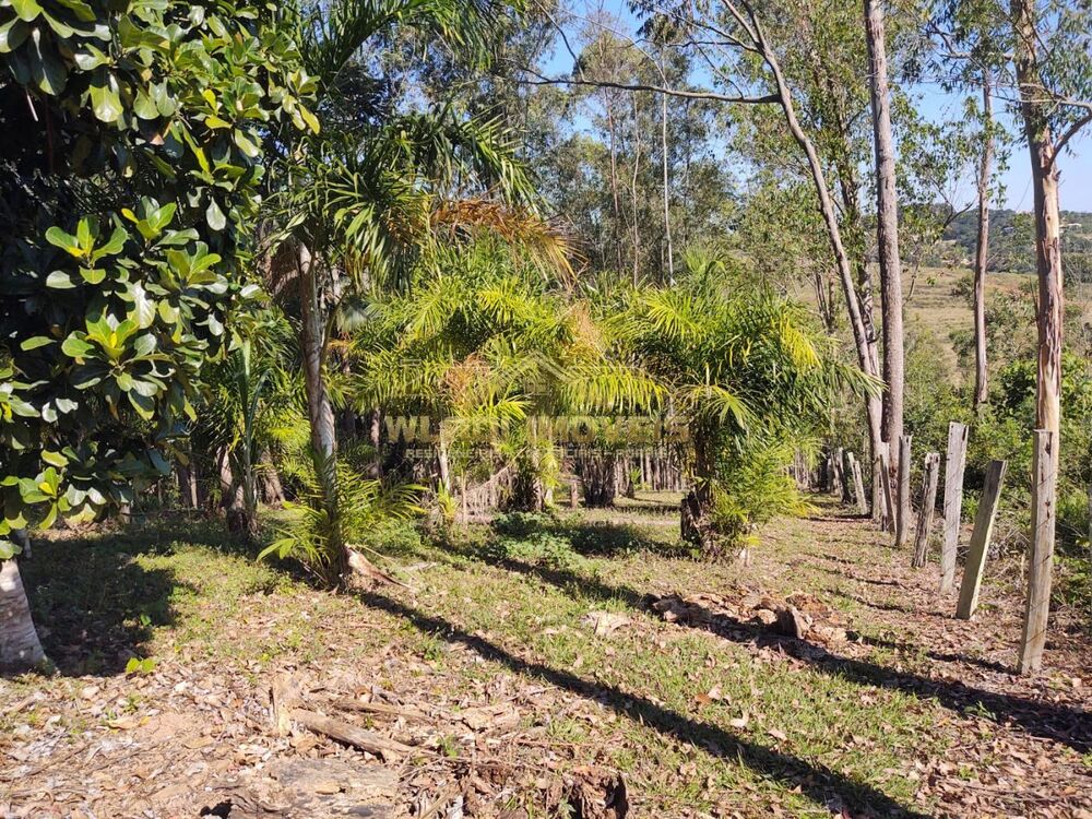 Sítio à venda, 36000m² - Foto 4