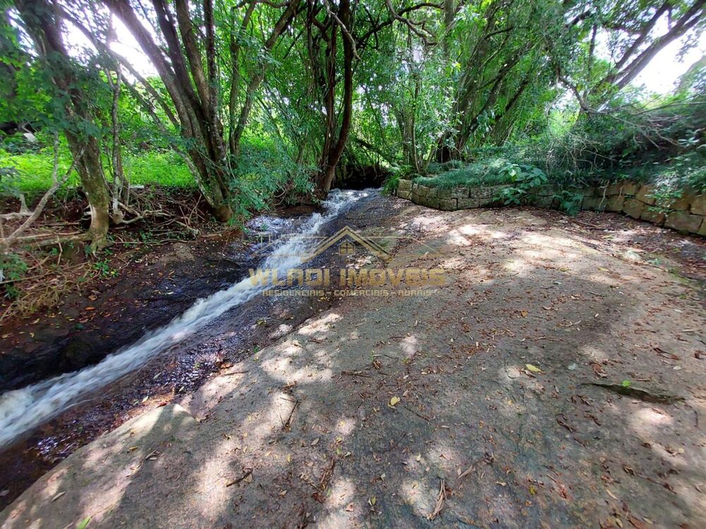Sítio à venda com 7 quartos, 15000m² - Foto 3