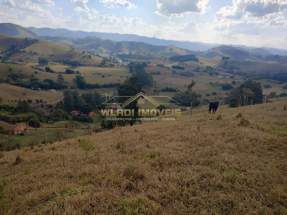 Chácara, 6000 m² - Foto 3