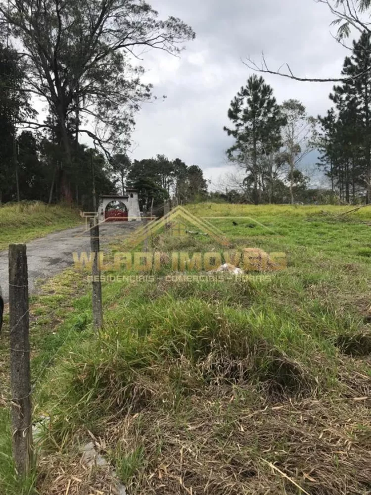 Terreno à venda, 6000m² - Foto 2