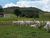 Fazenda-Sítio-Chácara, 949 m² - Foto 4
