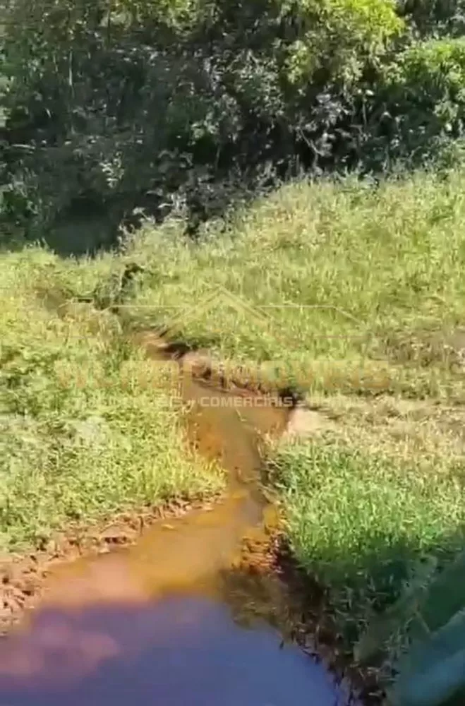 Sítio, 8 m² - Foto 5