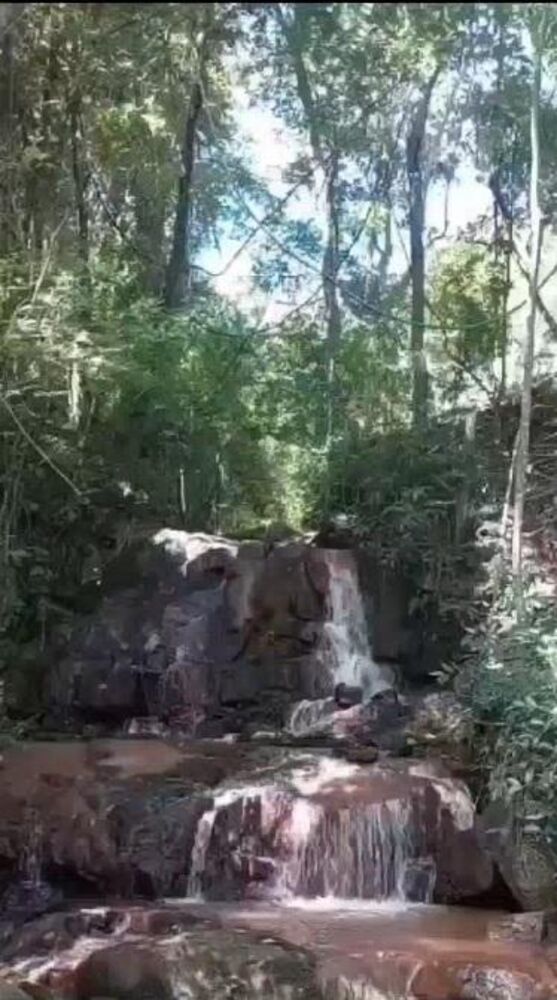 Sítio, 8 m² - Foto 4