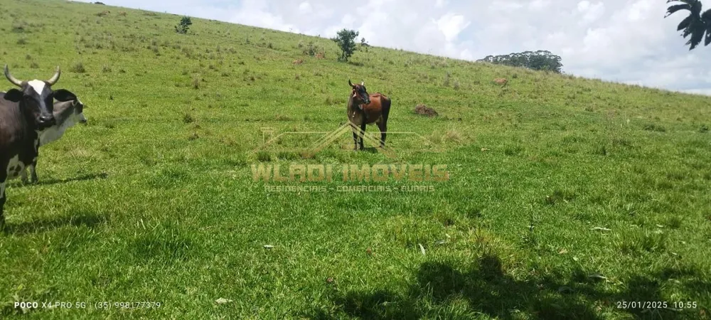 Fazenda, 72 m² - Foto 6