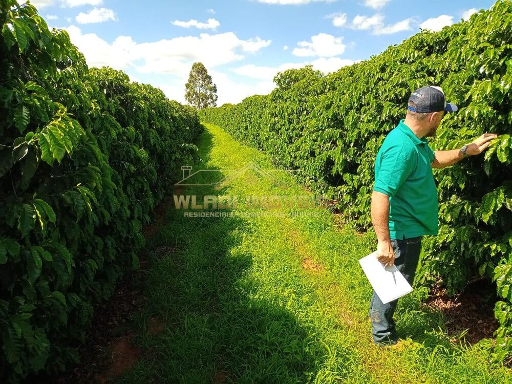 Fazenda à venda, 100m² - Foto 6