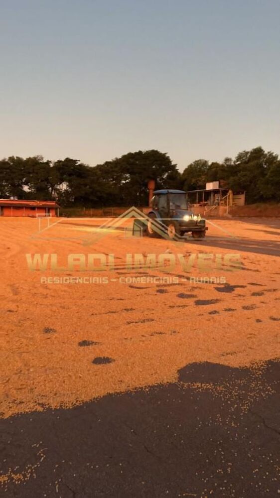 Fazenda à venda, 100m² - Foto 4