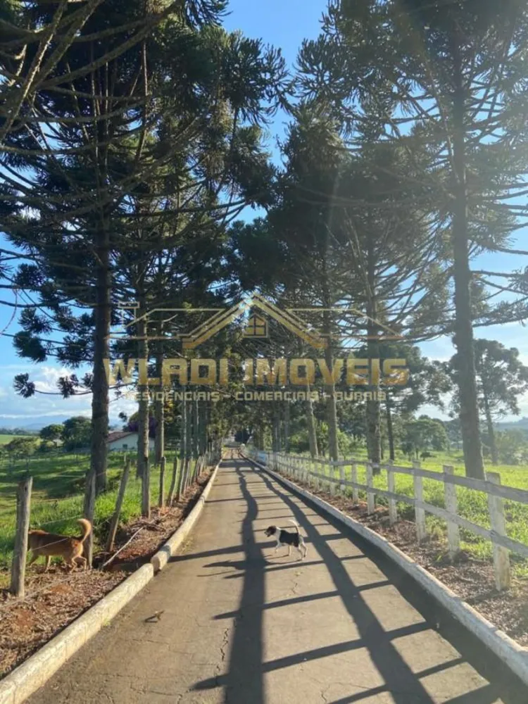 Fazenda, 430 m² - Foto 4