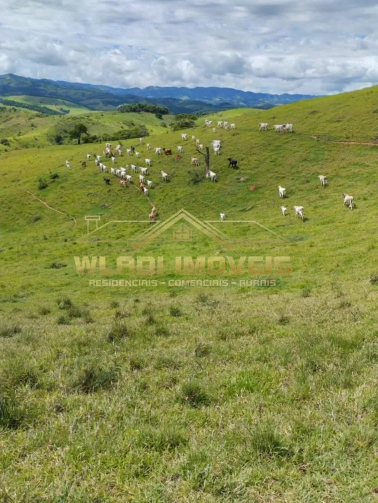 Fazenda, 100 m² - Foto 1