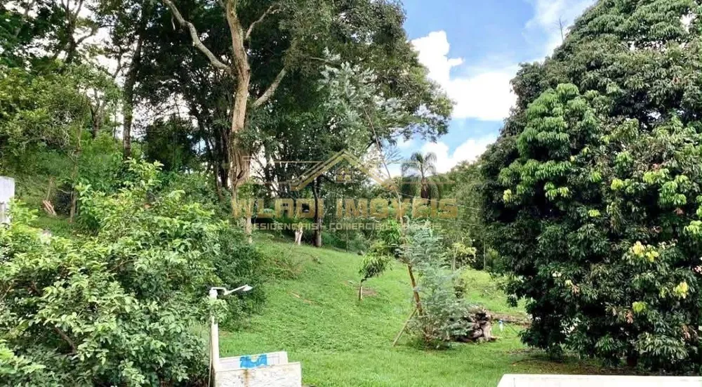 Sítio, 4 quartos, 4 hectares - Foto 12