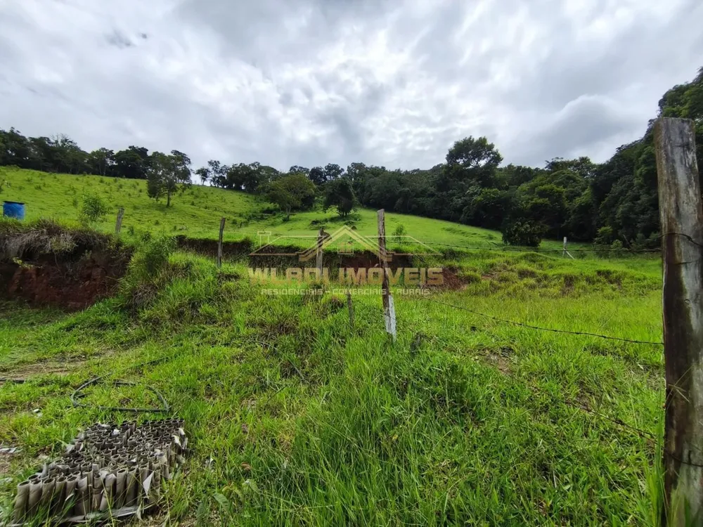 Chácara, 5 quartos, 3 hectares - Foto 4