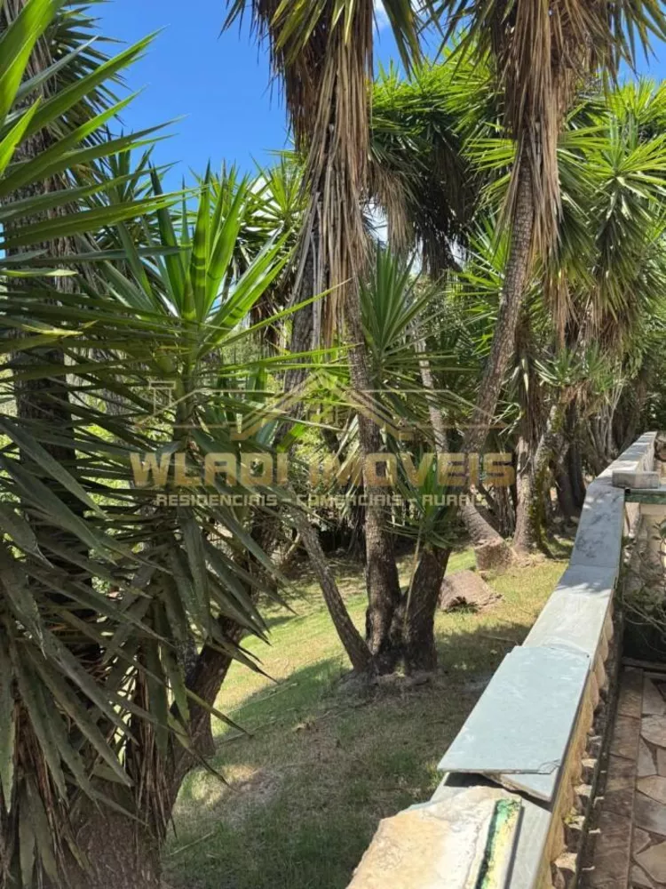 Chácara, 2 hectares - Foto 13