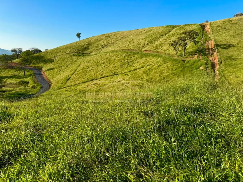 Terreno, 2 hectares - Foto 4
