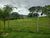 Sítio, 6 quartos, 7 hectares - Foto 3