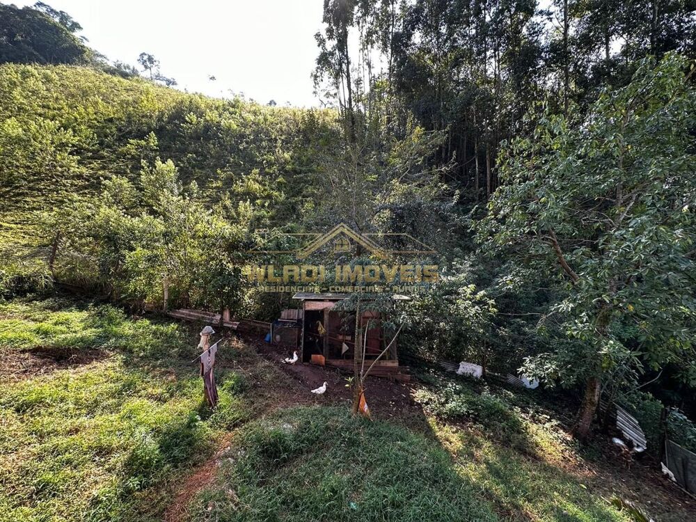 Sítio, 3 m² - Foto 2