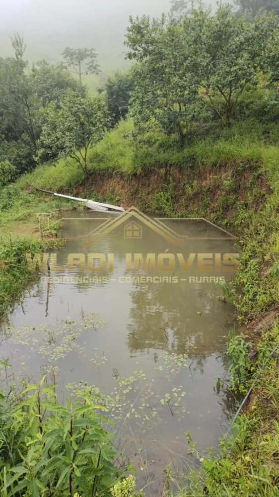 Sítio, 3 m² - Foto 6