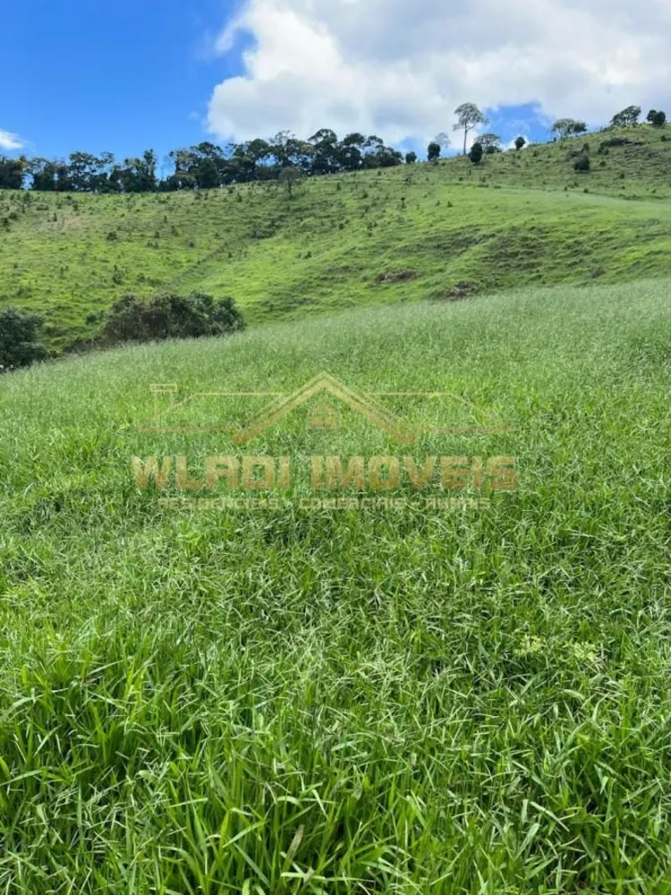 Fazenda, 90 m² - Foto 7