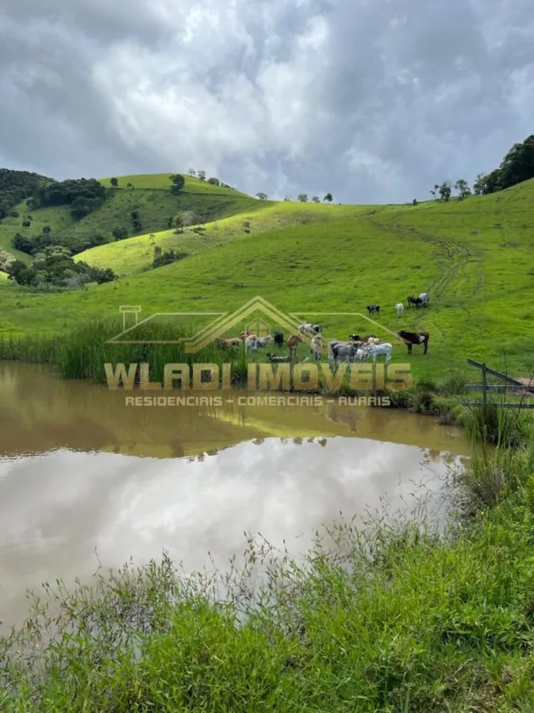 Fazenda, 90 m² - Foto 4
