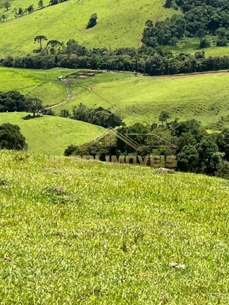 Fazenda, 90 m² - Foto 5
