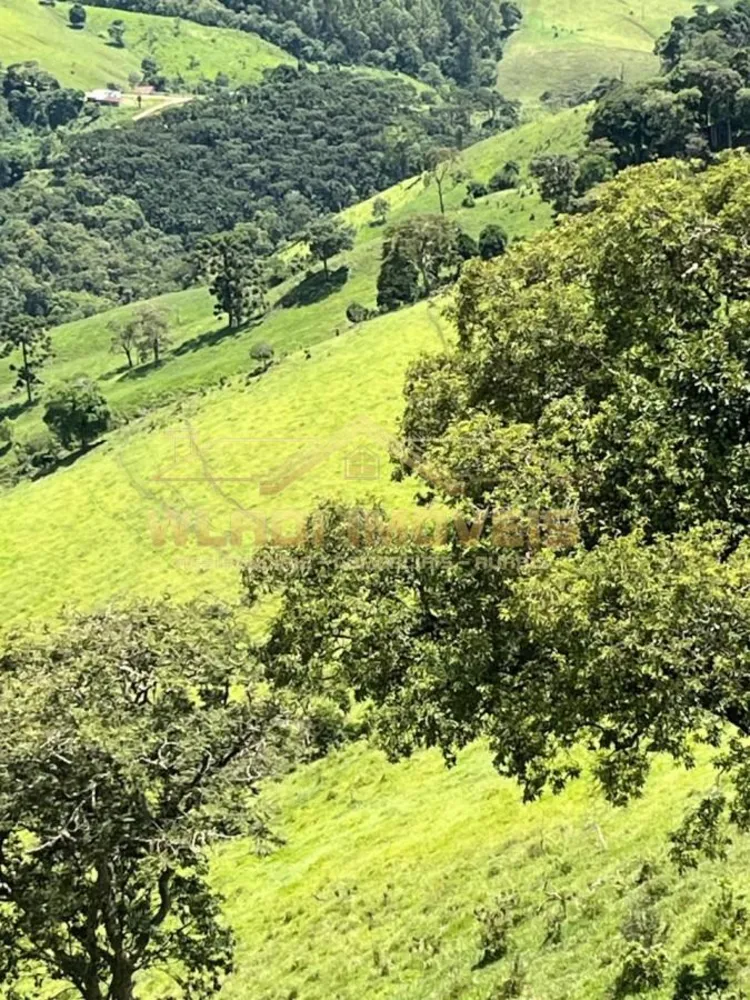 Fazenda, 90 m² - Foto 6