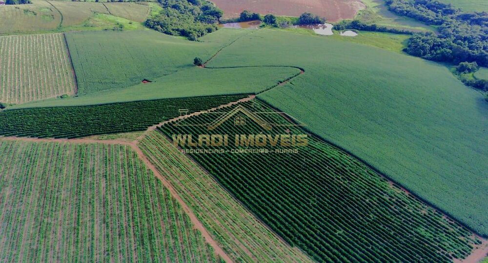 Fazenda, 40 m² - Foto 17