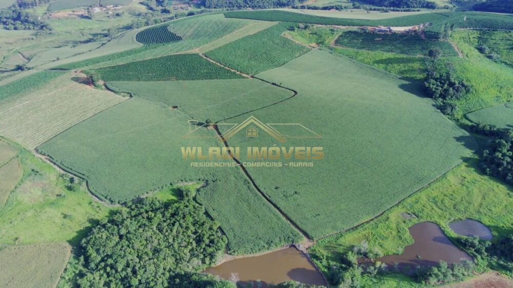 Fazenda, 40 m² - Foto 8