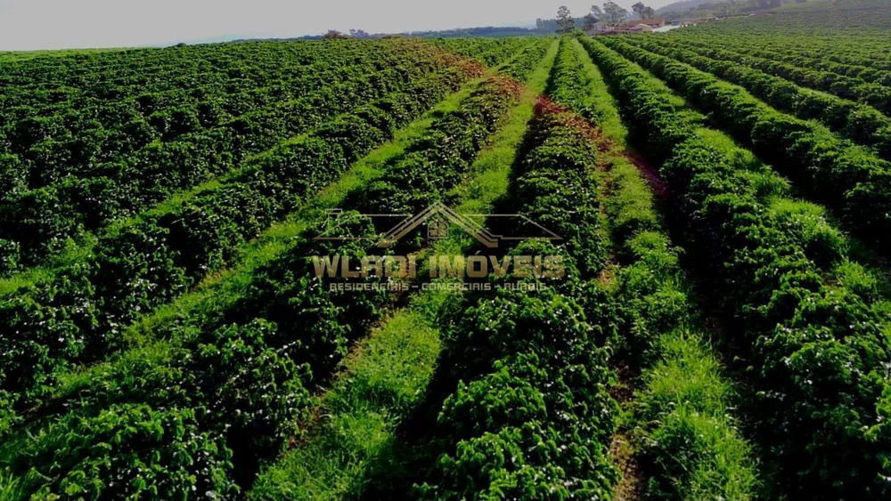 Fazenda, 40 m² - Foto 7