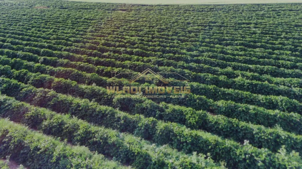 Fazenda, 40 m² - Foto 4