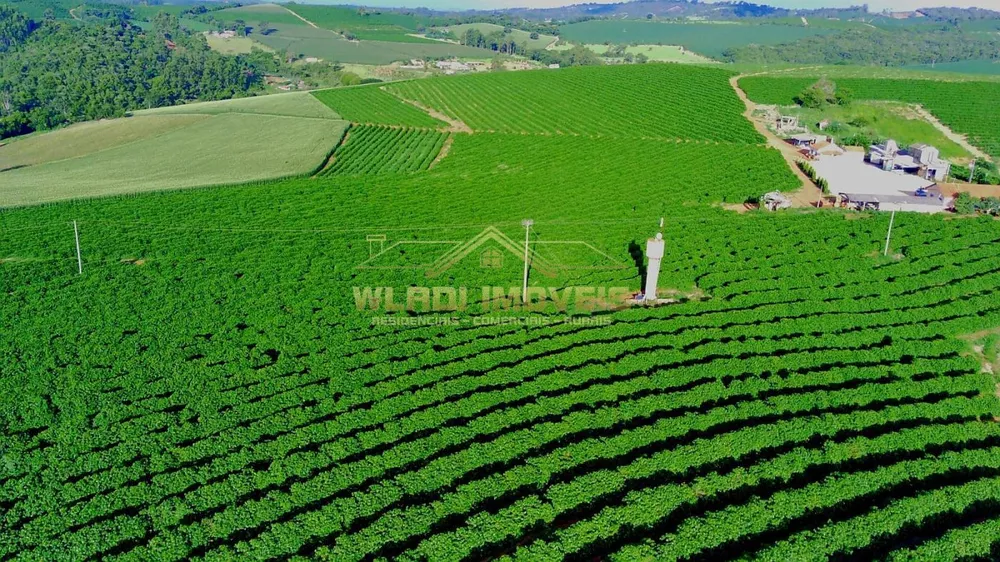 Fazenda, 40 m² - Foto 1