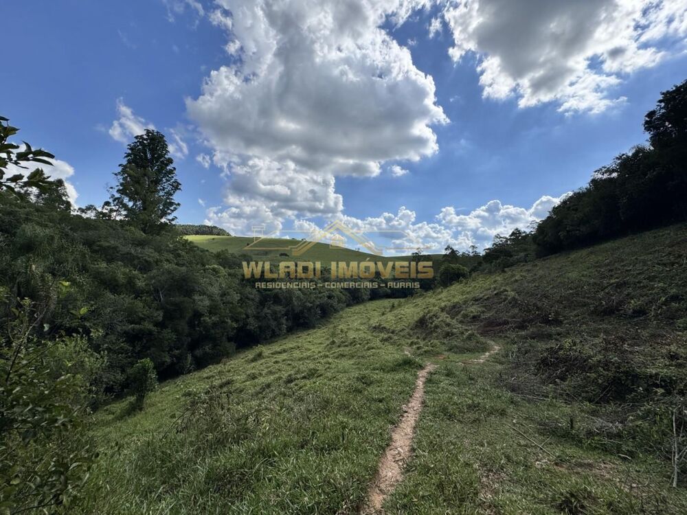 Sítio, 2 quartos, 9 m² - Foto 6