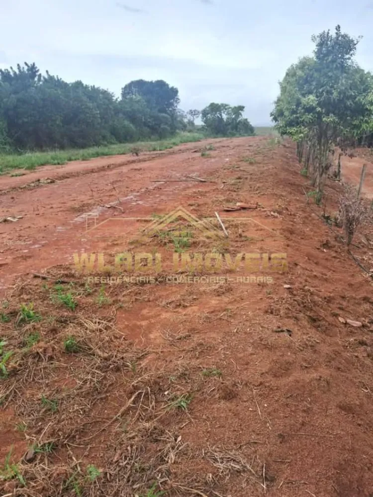 Sítio, 10 hectares - Foto 1