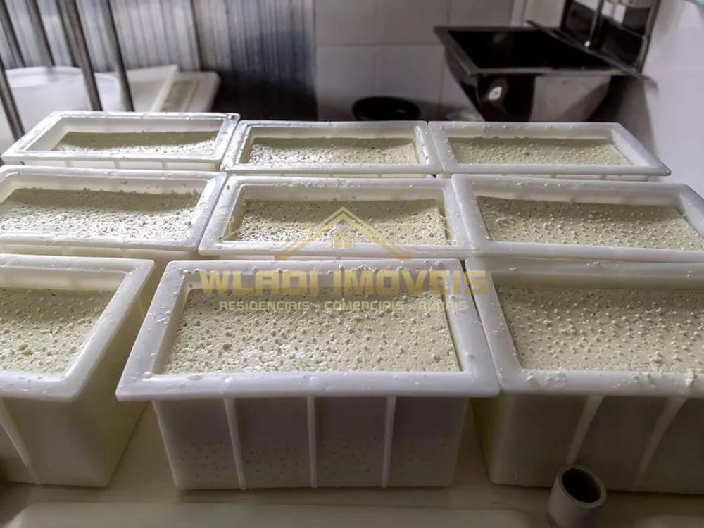 Sítio, 60 m² - Foto 8