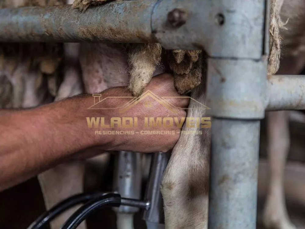 Sítio, 60 m² - Foto 6