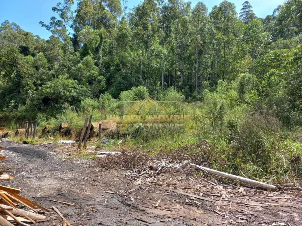 Sítio, 16 m² - Foto 3