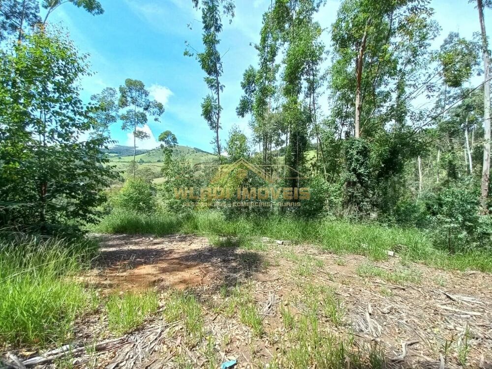 Sítio, 16 m² - Foto 6