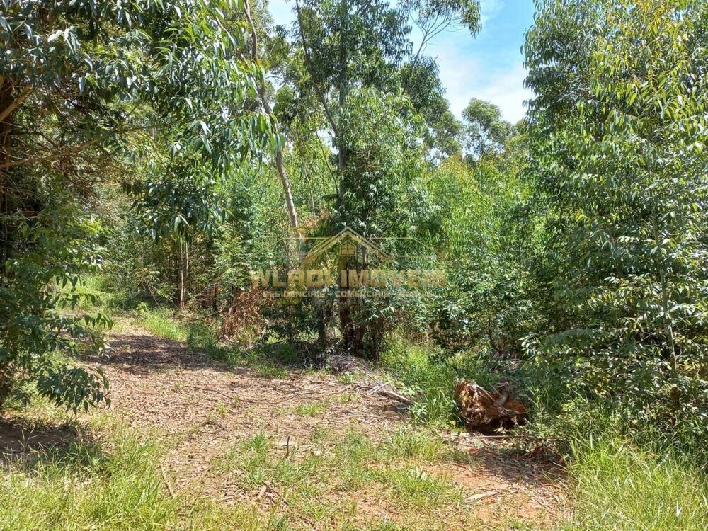 Sítio, 16 m² - Foto 1