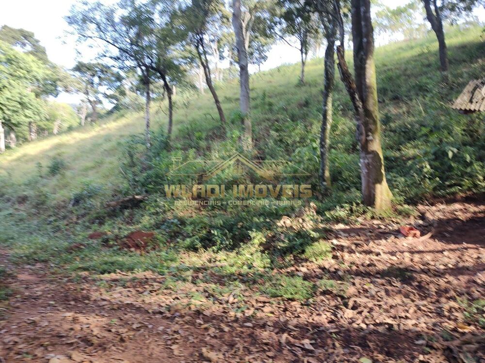 Sítio, 6 m² - Foto 5