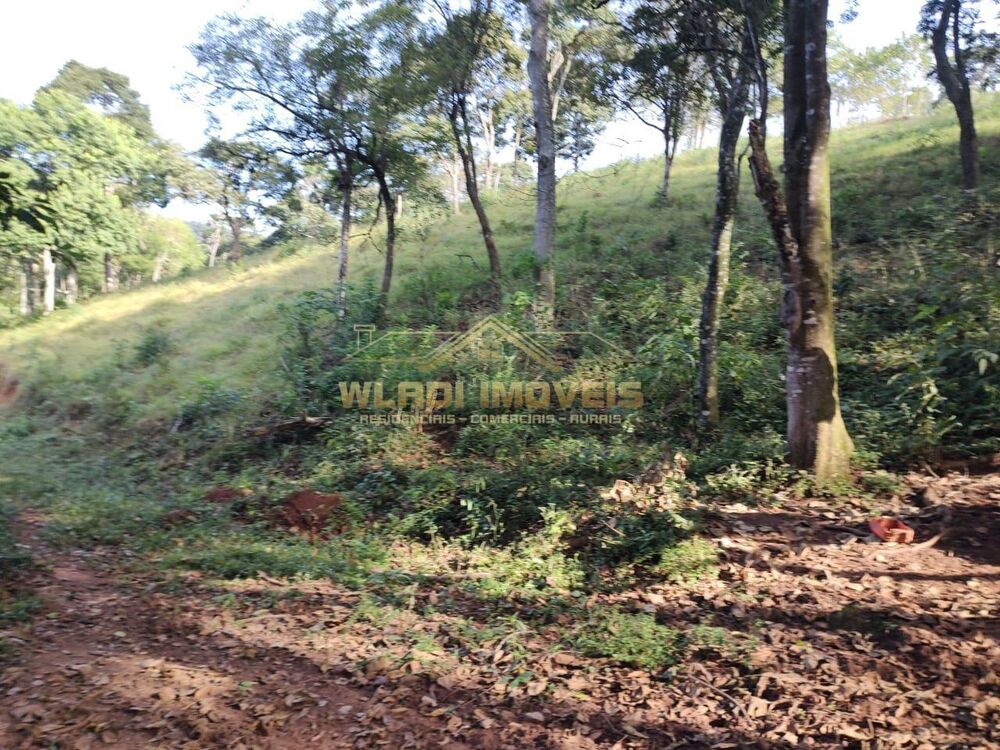 Sítio, 6 m² - Foto 2