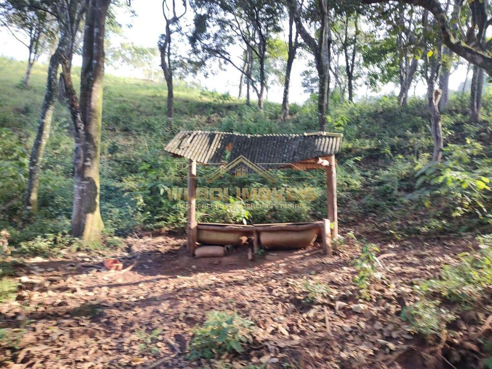 Sítio, 6 m² - Foto 7