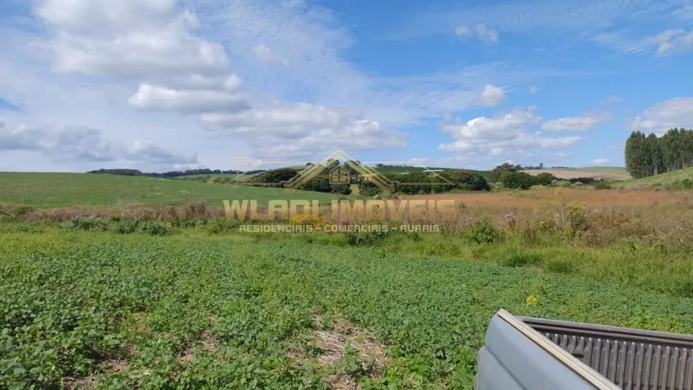 Fazenda, 160 m² - Foto 4
