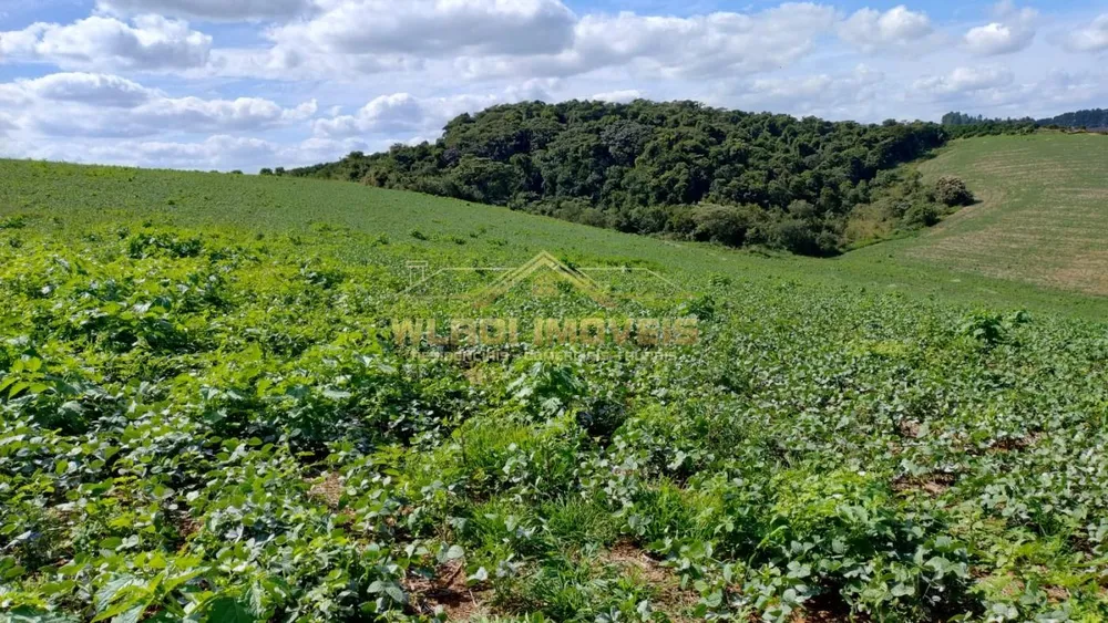 Fazenda, 160 m² - Foto 7