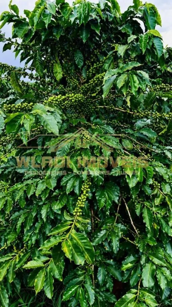 Fazenda, 71 m² - Foto 6