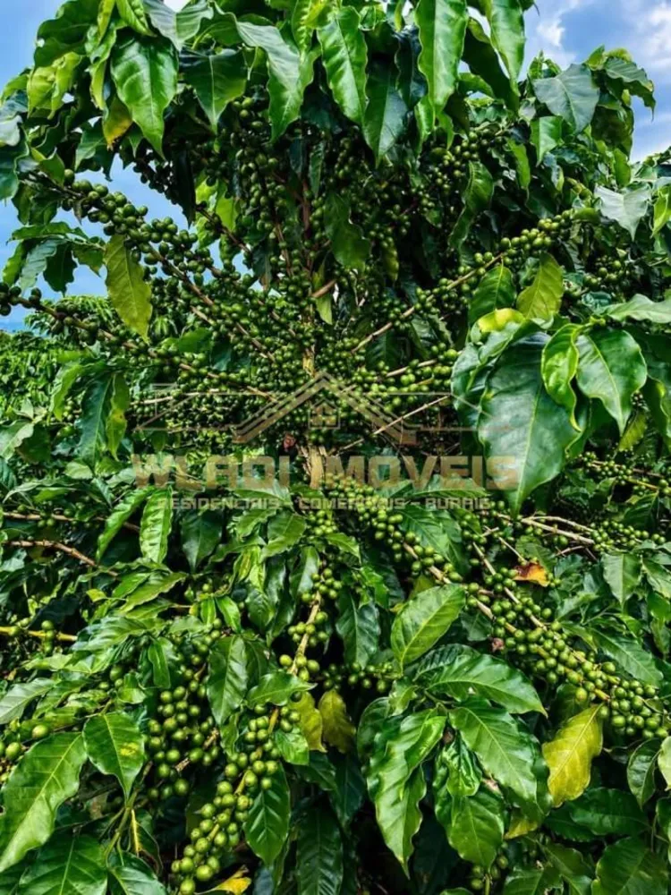 Fazenda, 71 m² - Foto 2