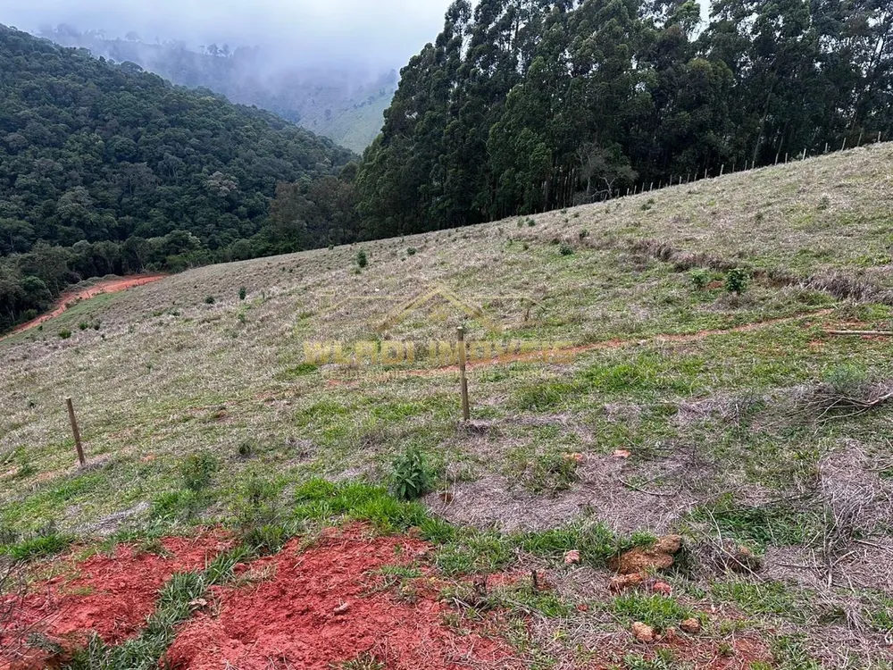 Sítio, 10 hectares - Foto 6