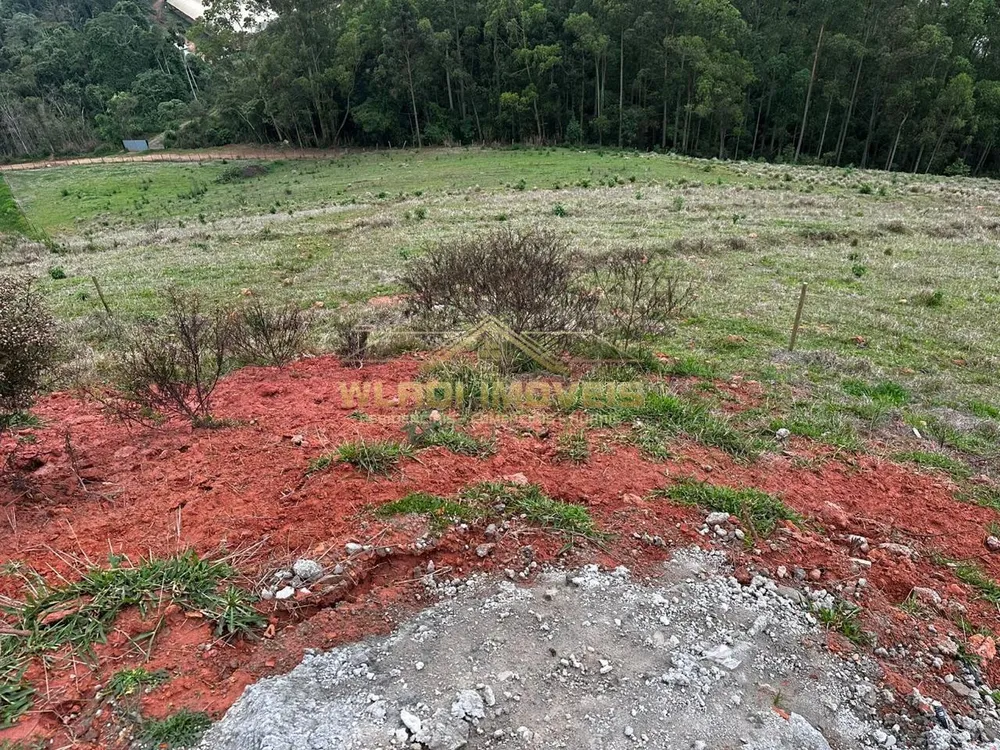 Sítio, 10 hectares - Foto 1